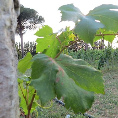 Agriturismo Occhineri بورتو سيساريو المظهر الخارجي الصورة