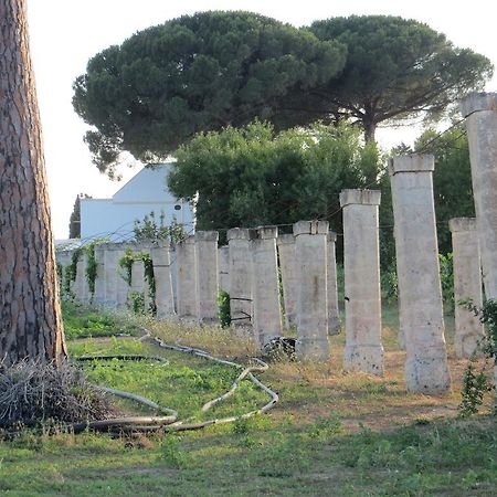 Agriturismo Occhineri بورتو سيساريو المظهر الخارجي الصورة