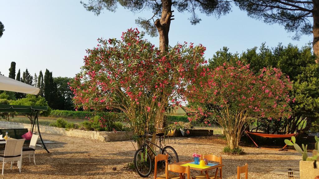 Agriturismo Occhineri بورتو سيساريو المظهر الخارجي الصورة