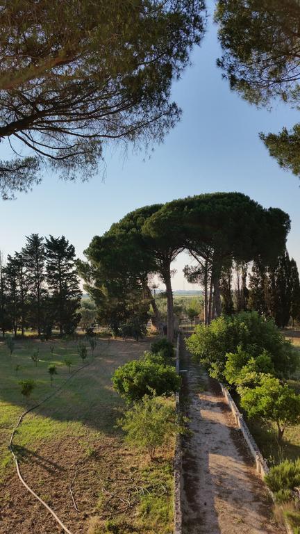 Agriturismo Occhineri بورتو سيساريو المظهر الخارجي الصورة