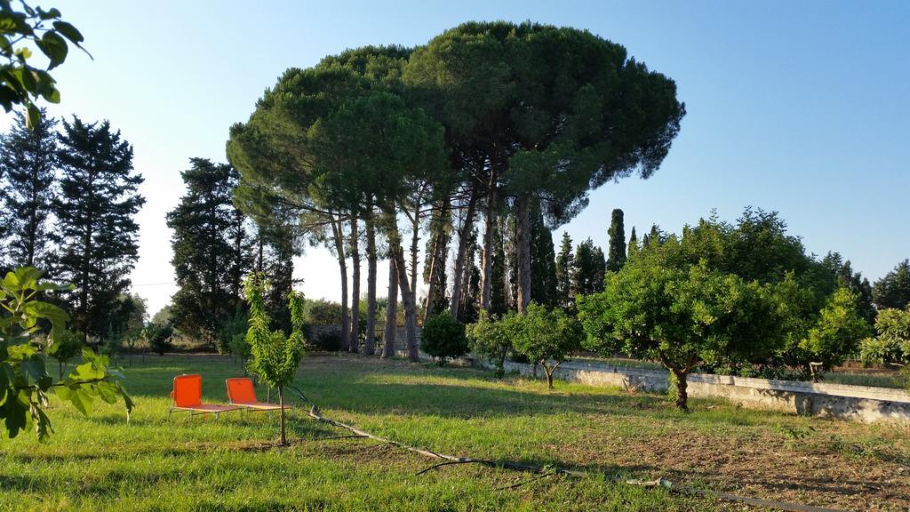 Agriturismo Occhineri بورتو سيساريو المظهر الخارجي الصورة