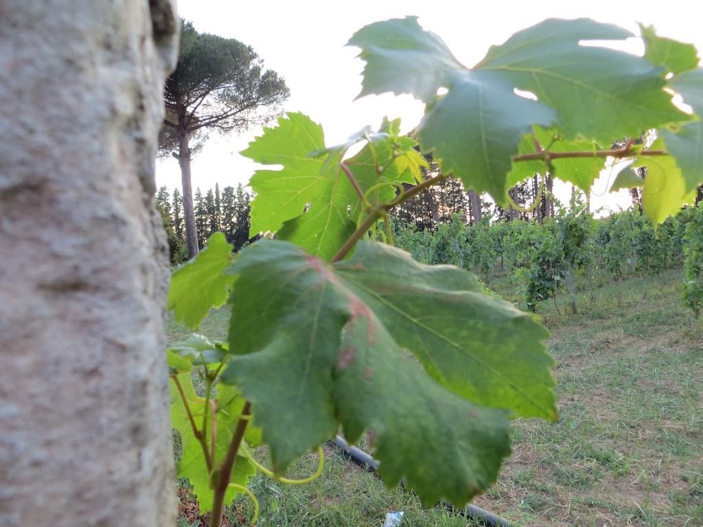 Agriturismo Occhineri بورتو سيساريو المظهر الخارجي الصورة