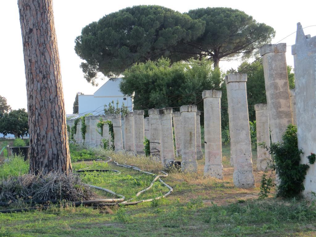 Agriturismo Occhineri بورتو سيساريو المظهر الخارجي الصورة