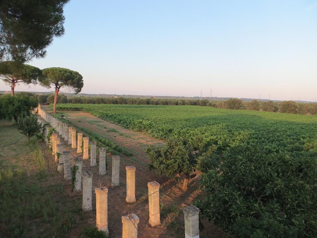 Agriturismo Occhineri بورتو سيساريو المظهر الخارجي الصورة