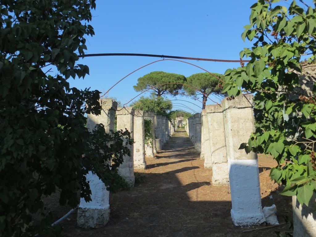 Agriturismo Occhineri بورتو سيساريو المظهر الخارجي الصورة